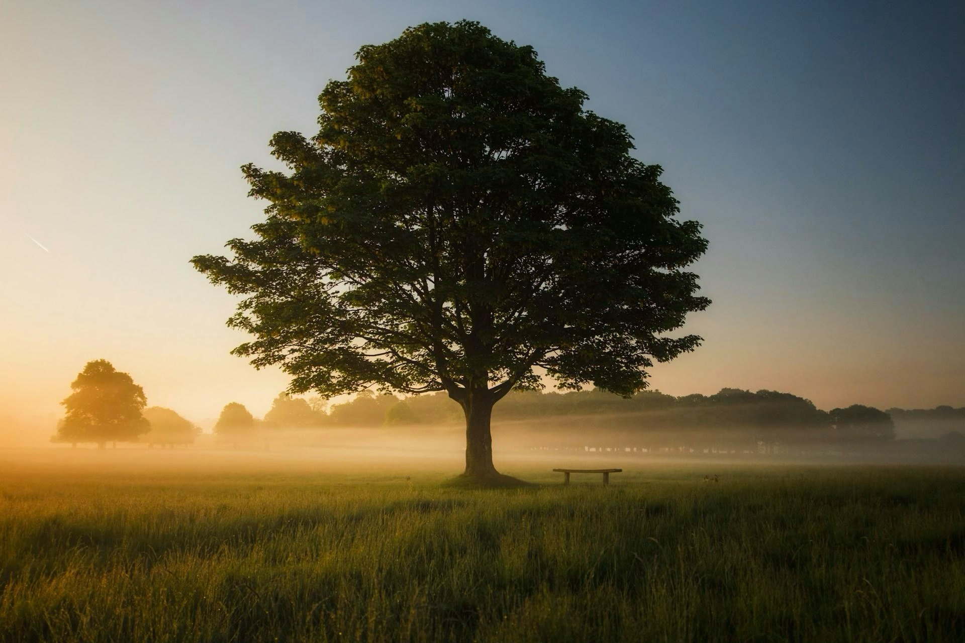 Entdecke die Stille. Gehe neue Wege.
