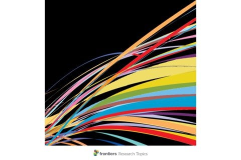 New book on defensive functioning includes study on Acem Meditation