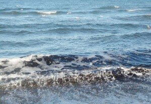 meer-300x208